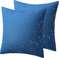 Phantoscope Pack of 2 Premium Dual Usage Outdoor Pillow Inserts, Waterproof by Phantoscope