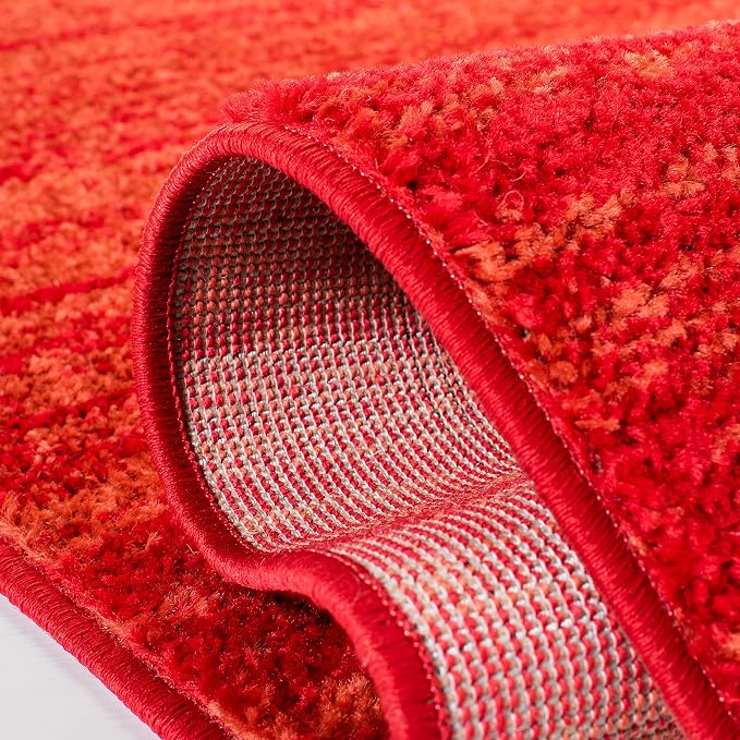 SAFAVIEH Adirondack Collection Area Rug - Image 6