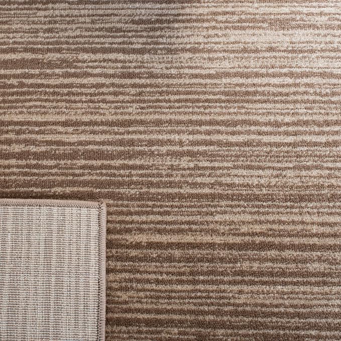SAFAVIEH Area Rug 6x9 - Image 10